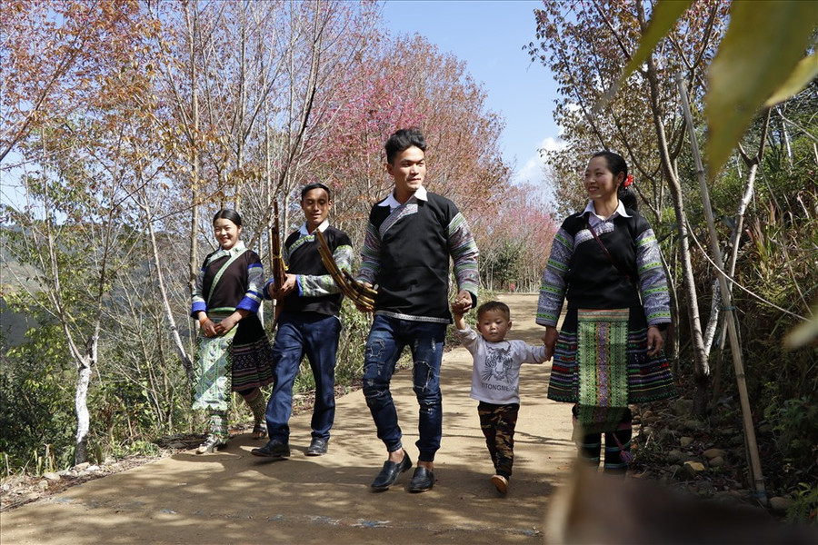 Cả gia đình cùng nhau đi du Xuân trên những cánh rừng bạt ngàn hoa.