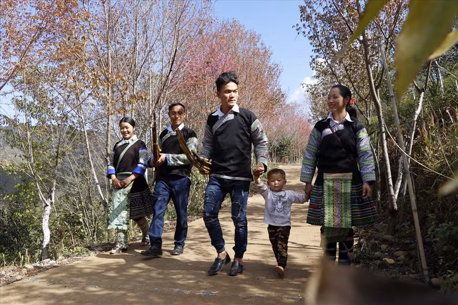 Cả gia đình cùng nhau đi du Xuân trên những cánh rừng bạt ngàn hoa.