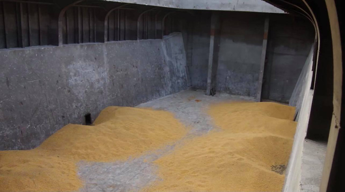 Bắp hạt bị trộm để ngay trên tàu