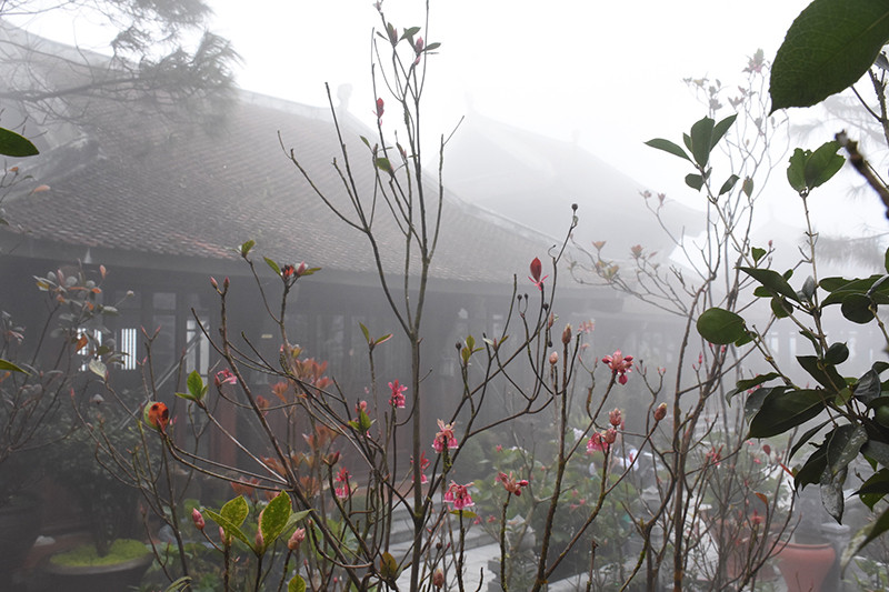 Lặng lẽ tỏa sáng giữa không gian tĩnh lặng và sương sớm Bà Nà.