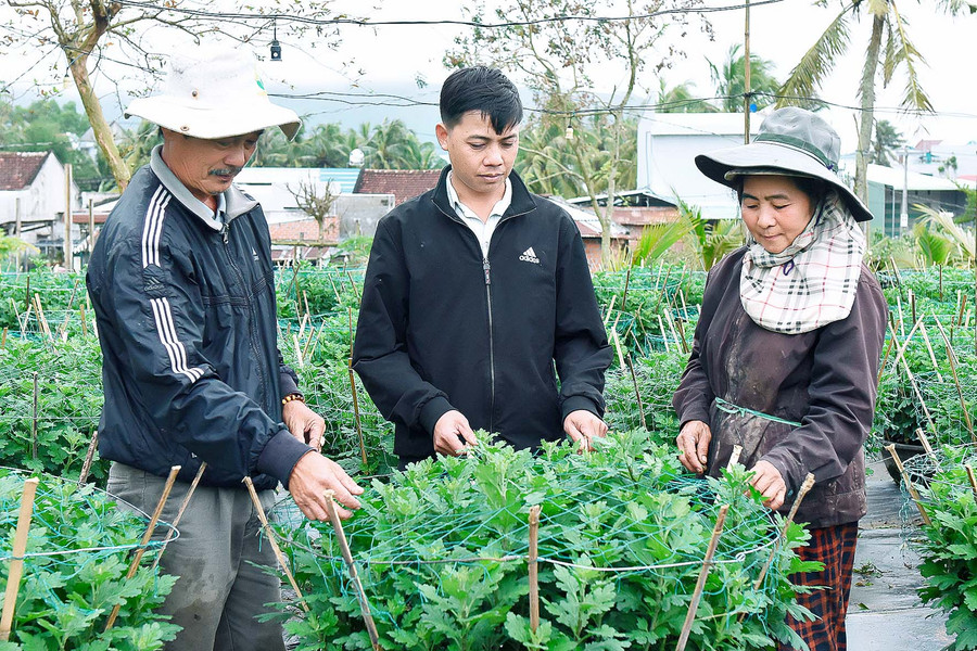 Nhờ sự hỗ trợ của Hội Nông dân thị xã An Khê, gia đình ông Nguyễn Văn Hòa (tổ 1, phường An Tân) đã vươn lên trở thành hộ có kinh tế khá. Ông Hòa cho biết: "Được vay 50 triệu đồng từ Quỹ Hỗ trợ nông dân, gia đình tôi đã mua phân bón chăm sóc 1.200 chậu cúc để bán vào dịp Tết. Dự kiến cuối năm, vườn hoa cúc sẽ cho thu nhập trên 300 triệu đồng". 4.Nhờ sự hỗ trợ của Hội Nông dân thị xã An Khê, gia đình ông Nguyễn Văn Hòa ở tổ 1 An Tân đã vươn lên trở thành hộ có kinh tế khá. Ông Hòa cho biết: 50 triệu đồng của quỹ hỗ trợ nông dân, gia đình ông đã mua phân bón chăm sóc 1.200 chậu cúc để bán vào dịp tết. Dự kiến cuối năm sẽ cho thu nhập trên 300 triệu đồng từ bán cúc.