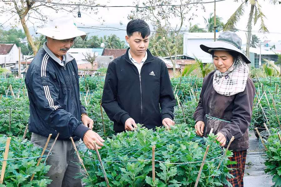 4.Nhờ sự hỗ trợ của Hội Nông dân thị xã An Khê, gia đình ông Nguyễn Văn Hòa ở tổ 1 An Tân đã vươn lên trở thành hộ có kinh tế khá. Ông Hòa cho biết: 50 triệu đồng của quỹ hỗ trợ nông dân, gia đình ông đã mua phân bón chăm sóc 1.200 chậu cúc để bán vào dịp tết. Dự kiến cuối năm sẽ cho thu nhập trên 300 triệu đồng từ bán cúc.