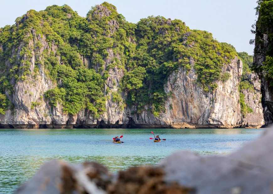 (Ảnh: Mai Mai/Vietnam+)