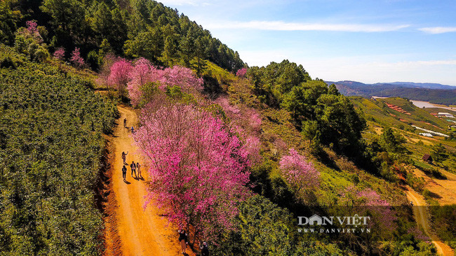 Nhiều du khách đến khu vực này tham qua, chụp ảnh lưu niệm. Ảnh Lĩnh Phan.