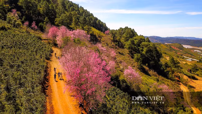 Nhiều du khách đến khu vực này tham qua, chụp ảnh lưu niệm. Ảnh Lĩnh Phan.