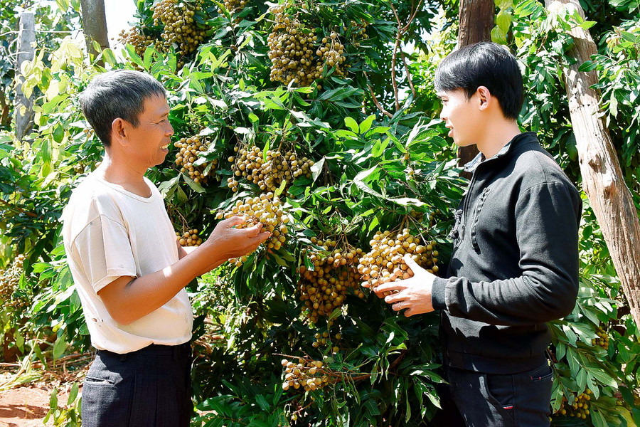 9.Ông Kê còn chia sẻ: Với những kinh nghiệm trong lao động sản xuất của mình, ông luôn sẵn sàng chia sẻ kiến thức, hỗ trợ các hội viên khác từng bước phát triển kinh tế, vượt khó vươn lên. 