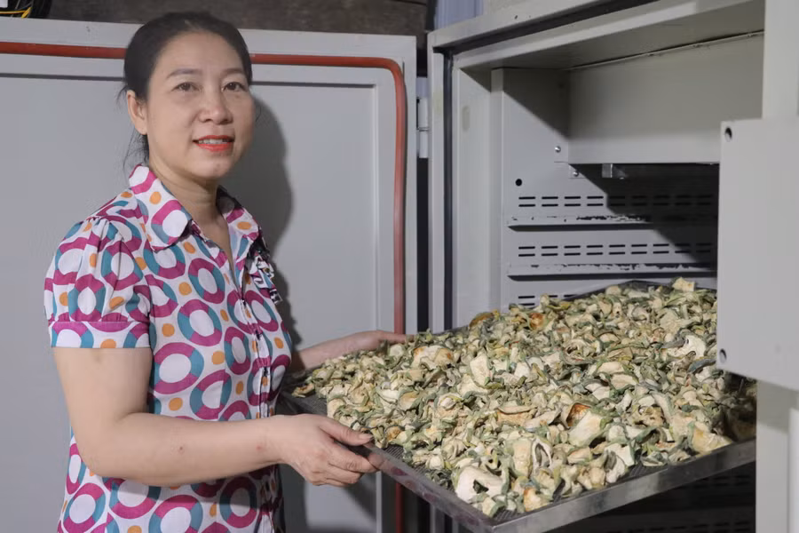Hợp tác xã Tơ Tung đầu tư máy sấy để nâng cao giá trị, chất lượng sản phẩm. Ảnh: Ngọc Minh