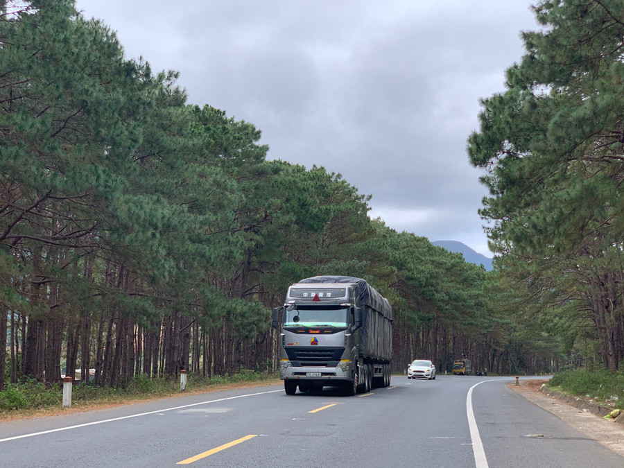 Một cung đường trên quốc lộ 19 rợp bóng thông xanh ngang qua xã Đak Ta Ley (huyện Mang Yang). Ảnh: Phương Linh Một cung đường trên quốc lộ 19 rợp bóng thông xanh ngang qua xã Đak Ta Ley (huyện Mang Yang). Ảnh: Phương Linh