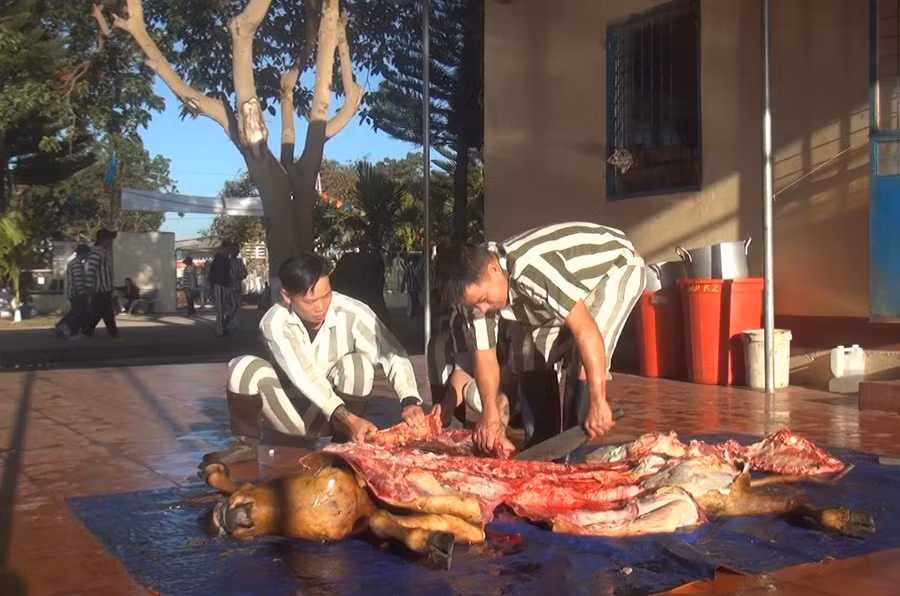 Để tạo điều kiện cho các phạm nhân được đón Tết ấm áp, Ban Giám thị Trại giam Gia Trung quyết định nâng khẩu phần ăn gấp 5 lần ngày thường trong bữa cơm tất niên. Để tạo điều kiện cho các phạm nhân được đón cái Tết ấm áp, Ban Giám thị Trại giam Gia Trung quyết định nâng khẩu phần ăn gấp 5 lần ngày thường trong bữa cơm tất niên. Đây là những cố gắng của Ban giám thị, cán bộ, chiến sĩ đơn vị dành cho phạm nhân ngoài chế độ ăn ngày Tết theo quy định. (ảnh 4a)