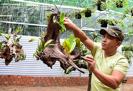 Công việc vừa giúp anh thỏa đam mê, vừa đem lại nguồn thu nhập cao. Ảnh: BA