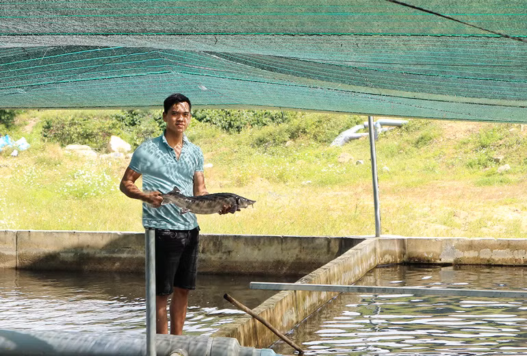 Nông dân 9X Nguyễn Duy Khánh, xã Liêng Srônh, huyện Đam Rông, tỉnh Lâm Đồng trong trang trại nuôi cá tầm
