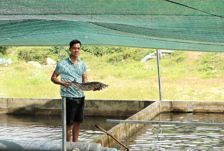 Nông dân 9X Nguyễn Duy Khánh, xã Liêng Srônh, huyện Đam Rông, tỉnh Lâm Đồng trong trang trại nuôi cá tầm