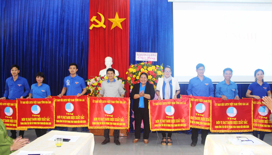 Ủy ban Hội LHTN Việt Nam tỉnh tặng cờ thi đua cho 10 tập thể đạt danh hiệu đơn vị xuất sắc. Ảnh P.LJPG