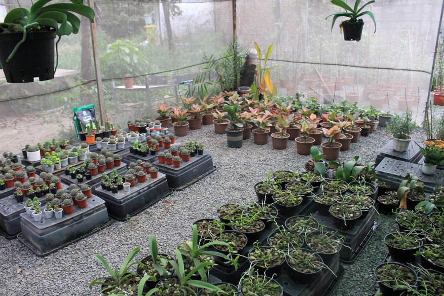 Hiện công ty đã phát triển thành công đất trồng dành cho rau và hoa; đất trồng hoa; và đất trồng dành cho xương rồng, sen đá. Theo anh Đăng, do đặc tính của từng loại cây trồng khác nhau ,nên đất trồng dành cho chúng cũng phải khác nhau. Hiện công ty đã phát triển thành công đất trồng dành cho rau và hoa; đất trồng hoa; và đất trồng dành cho xương rồng, sen đá. Theo anh Đăng, do đặc tính của từng loại cây trồng khác nhau ,nên đất trồng dành cho chúng cũng phải khác nhau.