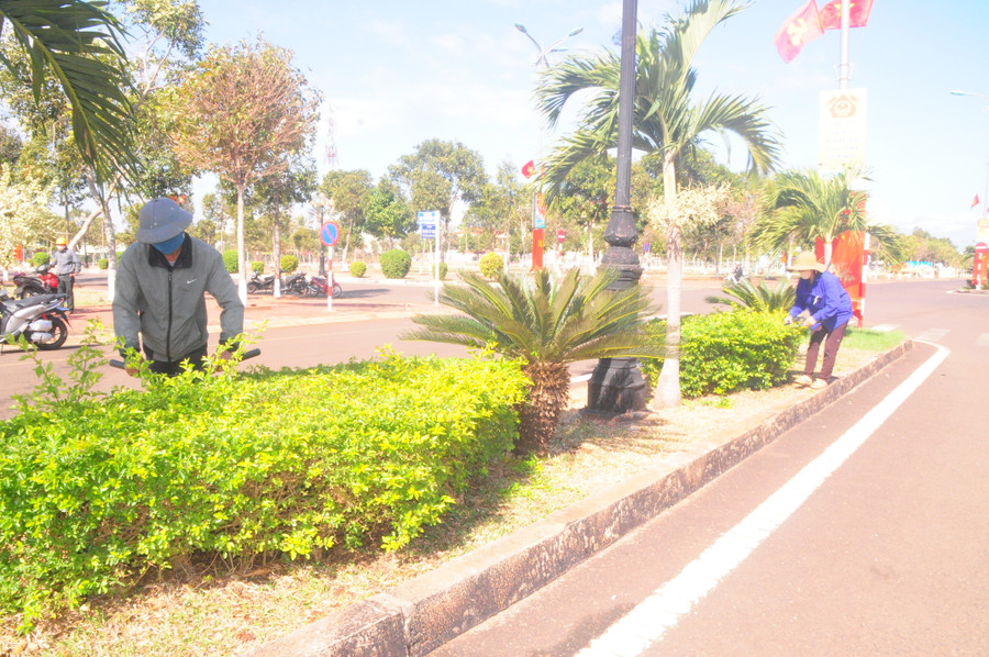 Công nhân cắt tỉa cây xanh trên tuyến đường vào khu trung tâm hành chính huyện Chư Pưh. Ảnh: Hoành Sơn