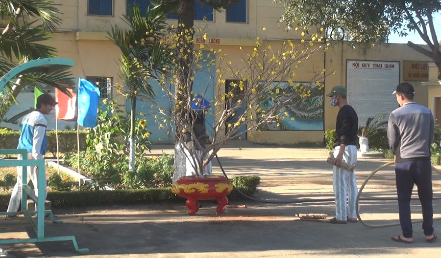 Các phạm nhân quây quần bên mâm cơm gồm bánh chưng, thịt đông, dưa hành, rau xanh và được tô điểm bằng cành đào, cành mai khoe sắc và những ánh đèn lấp lánh để chuẩn bị đón một cái Tết đang cận kề. (ảnh 1)