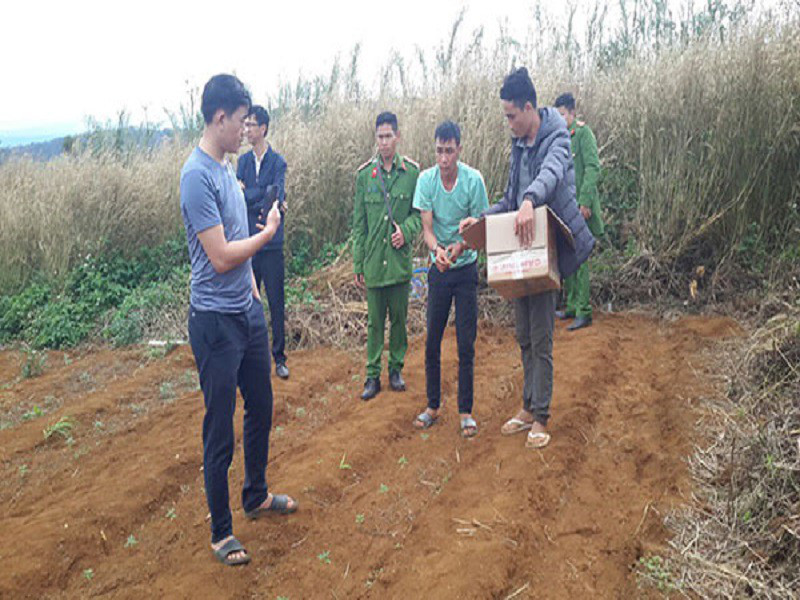 Một đối tượng bị phát hiện trồng cần sa trái phép. Ảnh: Q.MINH