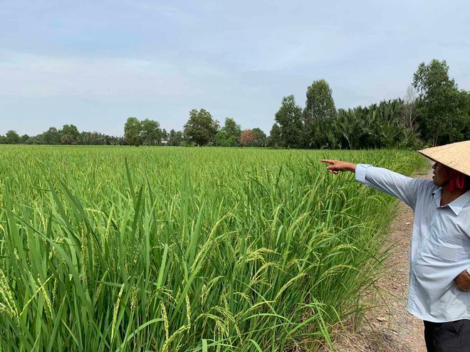 Khu đất thu hồi làm dự án đã 9 năm vẫn chưa thực hiện xong việc đền bù cho người dân. ẢNH: T.X
