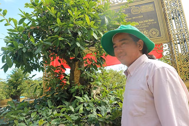 Anh Nguyễn Hoàng Tuấn bên cây mai dát vàng - ẢNH: THIÊN LỘC