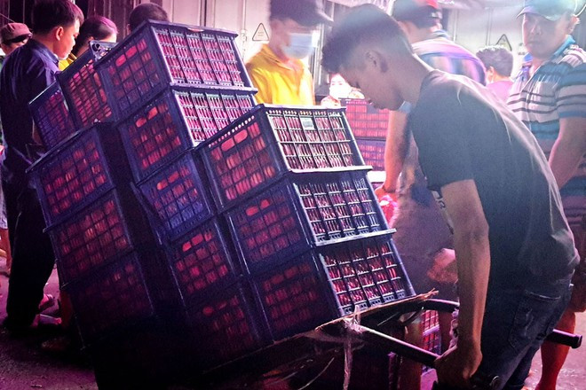 Một bốc xếp trẻ kéo khối hàng trái cây trên trăm ký