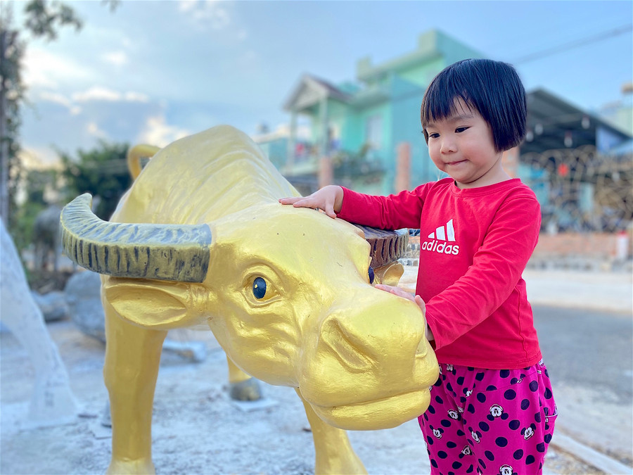 - Ảnh 11: Hình ảnh con trâu từ xưa tới nay đều rất gần gũi và thân thiết với con người Việt Nam nói chung và người nông dân nói riêng. Trâu là biểu tượng cho đức tính hiền lành, chịu khó, sự bền bỉ và mạnh mẽ; đồng thời cũng là hiện thân cho sự no ấm, đủ đầy. Vì vậy, linh vật của năm này được nhiều người ưa chuộng để trang trí sân vườn đón Tết Tân Sửu sắp đến.