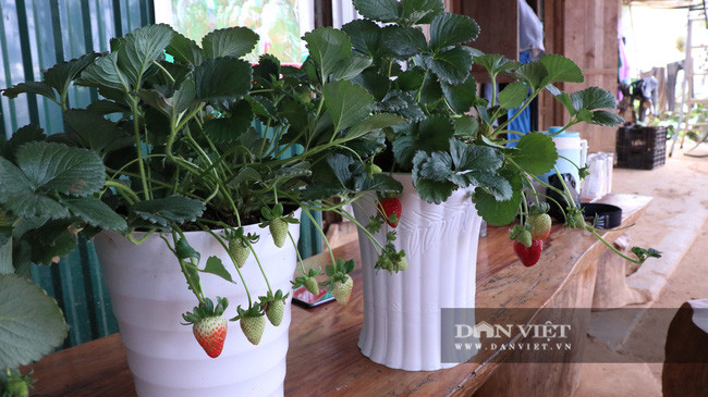  Anh Định cho hay,: 