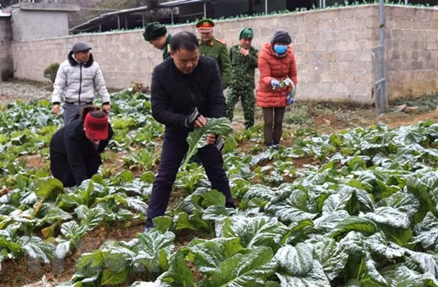 Băng tuyết phủ kín nhiều nơi trên Cao nguyên đá Đồng Văn (Hà Giang). (Ảnh: Minh Đức/TTXVN phát)