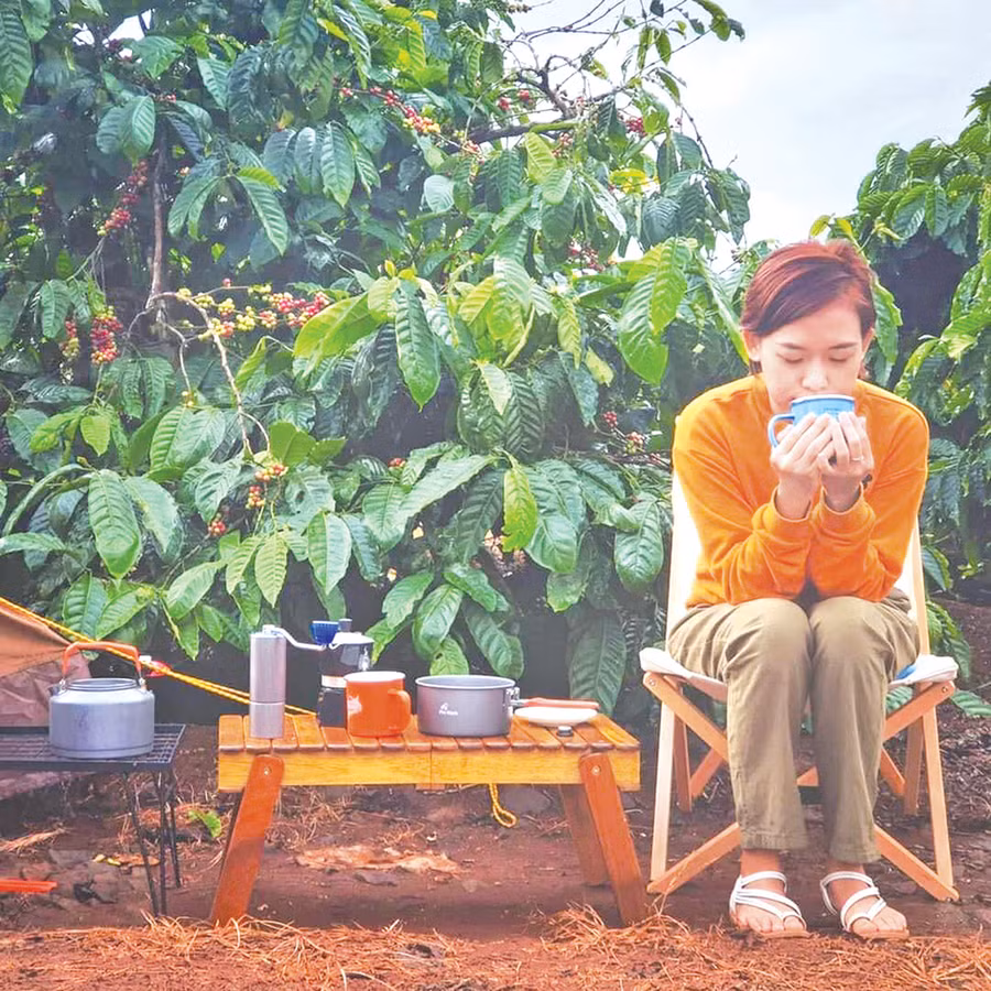 Trang trại cà phê sạch của gia đình anh Trần Đức Toàn là điểm đến tham quan, tìm hiểu của nhiều du khách. Ảnh: Trần Dung