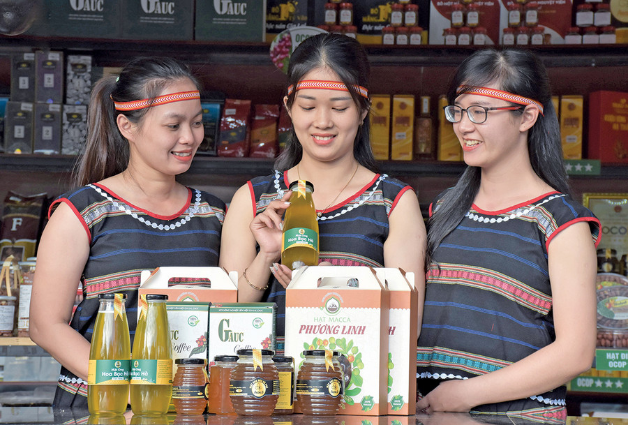 Quảng bá, giới thiệu sản phẩm OCOP Gia Lai tại Khu du lịch Biển Hồ (TP. Pleiku). Ảnh: Trần Dung  Quảng bá, giới thiệu sản phẩm OCOP Gia Lai tại Khu du lịch Biển Hồ (TP. Pleiku). Ảnh: Trần Dung