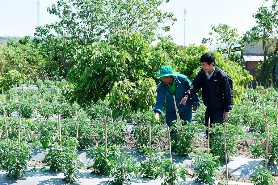 Ông Phạm Văn (ở thôn 10) “Đường lớn, diện mạo nông thôn khang trang thì nhân dân sẽ phấn khởi hơn, chăm lo làm ăn, diện mạo sẽ ngày càng khởi sắc”-ông Trà nói.