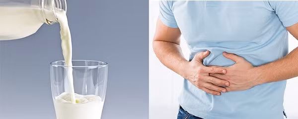 Uống sữa quá nhiều dẫn đến việc khó tiêu cho hệ tiêu hoá. Đồ hoạ: Phương Linh