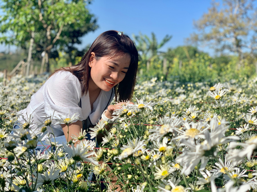 Chị Nguyễn Thị Hồng (xã Ia Dal, huyện Ia H'Drai, tỉnh Kon Tum) thích thú khi lần đầu tiên được thấy cúc họa mi. Ảnh: Phương Vi Chị Nguyễn Thị Hồng (xã Ia Dal, huyện Ia Hdrai, tỉnh Kon Tum) thích thú khi lần đầu tiên được thấy cúc họa mi. Ảnh: Phương Vi