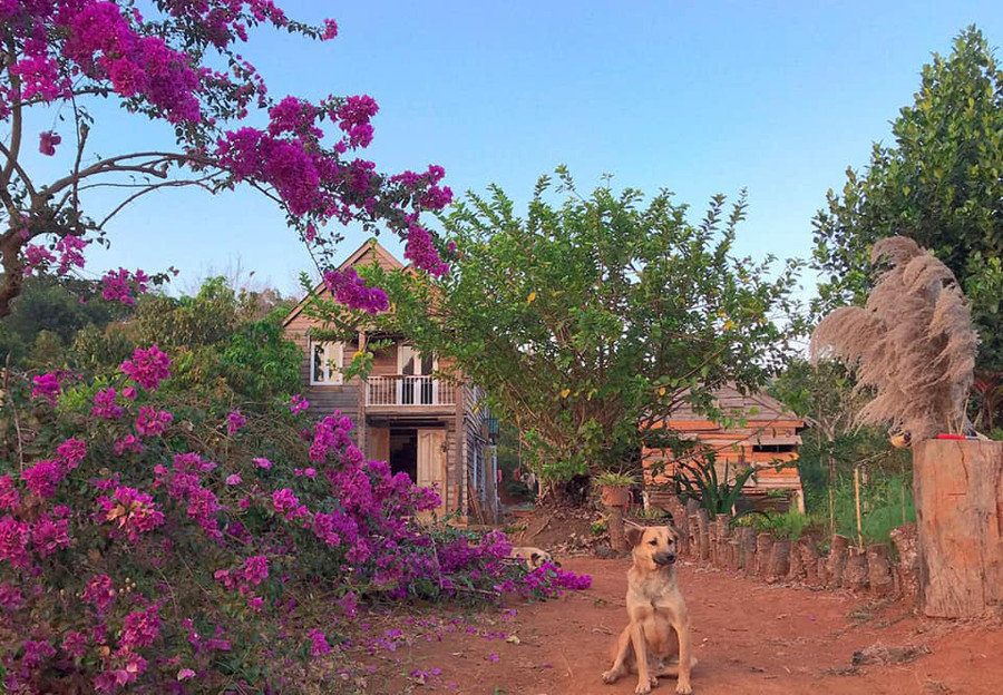 Cặp vợ chồng trẻ rời thành phố về quê đã được hơn 2 năm.