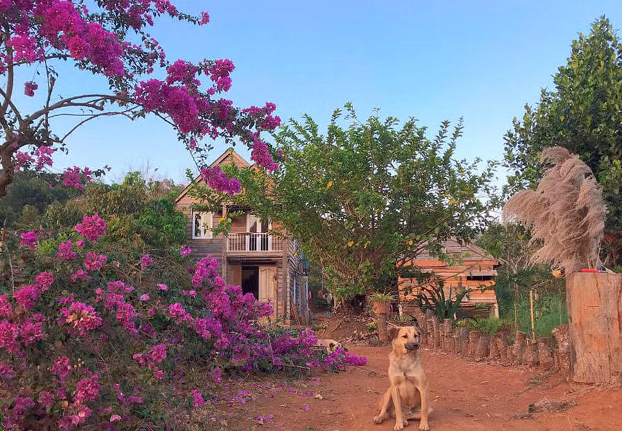 Cặp vợ chồng trẻ rời thành phố về quê đã được hơn 2 năm.