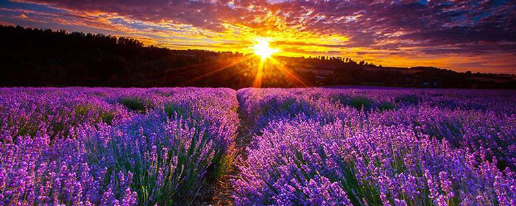 Ảnh minh họa: Internet