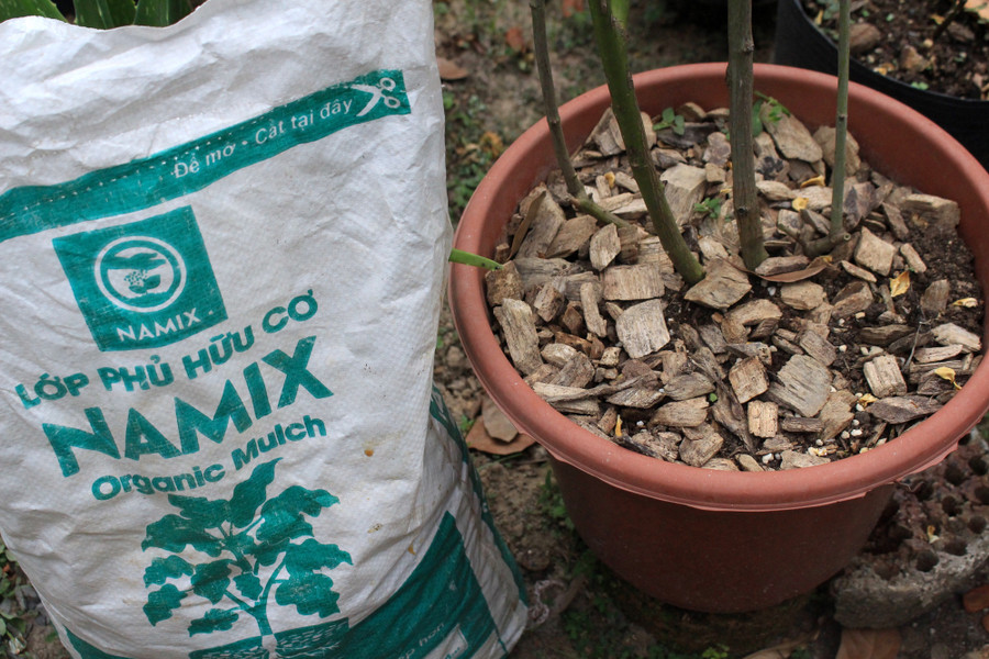 “Mới đây, nhóm đã phát triển thành công lớp phủ hữu cơ dùng để phủ trên bề mặt chậu cây, chậu hoa và vườn rau. Giá thể hoàn toàn tự nhiên từ gỗ, vỏ cây được xử lý bằng công nghệ giúp điều hòa nhiệt độ của đất và vi sinh, giun đất phát triển, phân hủy chất hữu cơ cho cây tốt hơn” - Đăng nói. “Mới đây, nhóm đã phát triển thành công lớp phủ hữu cơ dùng để phủ trên bề mặt chậu cây, chậu hoa và vườn rau. Giá thể hoàn toàn tự nhiên từ gỗ, vỏ cây được xử lý bằng công nghệ giúp điều hòa nhiệt độ của đất và vi sinh, giun đất phát triển, phân hủy chất hữu cơ cho cây tốt hơn” - Đăng nói.