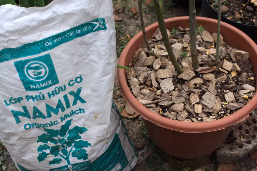 “Mới đây, nhóm đã phát triển thành công lớp phủ hữu cơ dùng để phủ trên bề mặt chậu cây, chậu hoa và vườn rau. Giá thể hoàn toàn tự nhiên từ gỗ, vỏ cây được xử lý bằng công nghệ giúp điều hòa nhiệt độ của đất và vi sinh, giun đất phát triển, phân hủy chất hữu cơ cho cây tốt hơn” - Đăng nói.