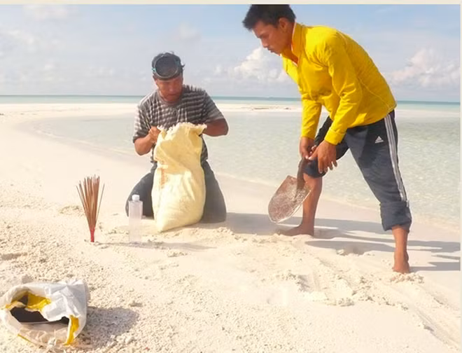 Ngư dân Mai Phụng Lưu lấy cát vàng từ Hoàng Sa năm 2011 ẢNH: NGƯ DÂN CUNG CẤP