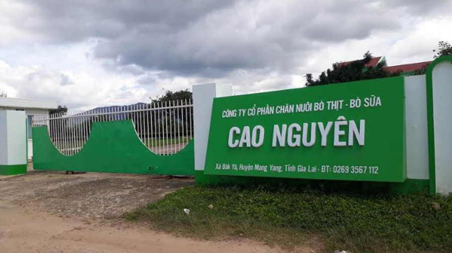 Công ty cổ phần Chăn nuôi bò thịt-bò sữa Cao Nguyên bị xử phạt vì gây ô nhiễm môi trường. Ảnh: Hồng Thương Công ty cổ phần Chăn nuôi bò thịt-bò sữa là một trong những trường hợp bị xử phạt vì gây ô nhiễm môi trường. Ảnh: Hồng Thương