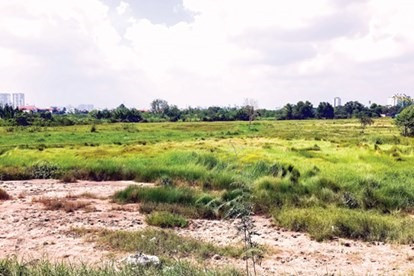 Để biết đất khai hoang khai hoang khi bị thu hồi có được đền bù hay không cần dựa trên các điều kiện nhất định. Ảnh: LĐO