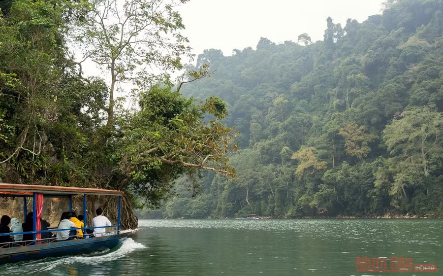 Rời xa những ồn ào, chộn rộn của chốn thị thành, hồ Ba Bể là nơi lý tưởng để tạm gác những lo toan và hòa mình vào thiên nhiên. Du khách có nhiều lựa chọn để trải nghiệm hồ Ba Bể nhưng cách trọn vẹn nhất là thuê thuyền du ngoạn lòng hồ.