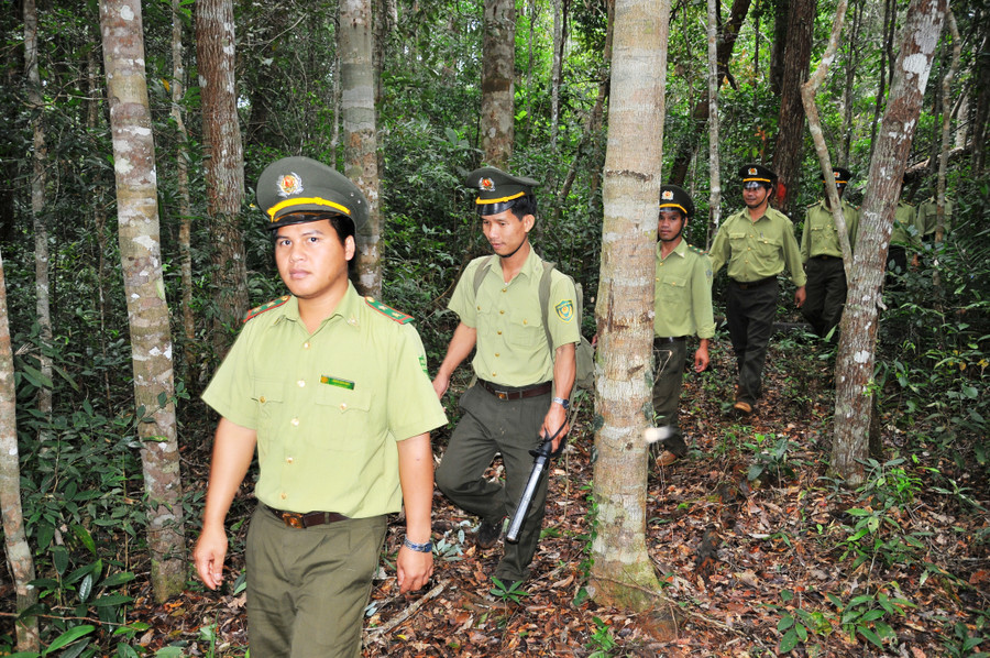 Cán bộ, nhân viên Ban Quản lý Khu BTTN Kon Chư Răng tuần tra bảo vệ rừng. Ảnh: Hồng Thương