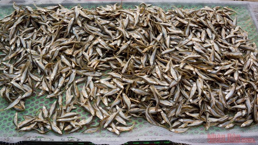 Những con cá nhỏ chỉ bằng ngón tay, được đánh bắt trực tiếp trên hồ rồi qua các công đoạn chế biến công phu của bà con nơi đây. Món cá nướng mộc mạc đã trở thành món quà quý níu chân du khách. Những con cá nhỏ chỉ bằng ngón tay, được đánh bắt trực tiếp trên hồ rồi qua các công đoạn chế biến công phu của bà con nơi đây. Món cá nướng mộc mạc đã trở thành món quà quý níu chân du khách.