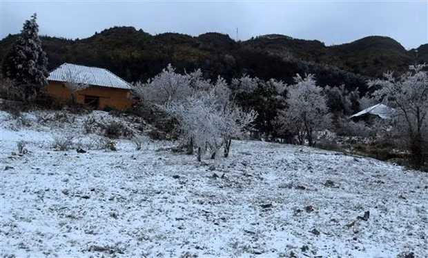  Tuyết rơi phủ trắng xóa tại xã Y Tý, huyện Bát Xát, tỉnh Lào Cai. (Ảnh: Quốc Khánh/TTXVN)