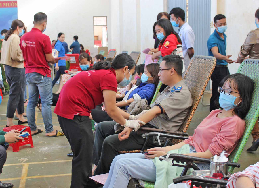 Đông đảo các tình nguyện viên tham gia hiến máu nhân đạo. Ảnh Phan Thương