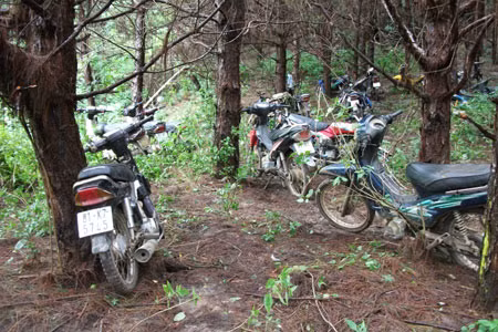 Người dân đi tìm huỳnh đàn dựng xe ngay tại tiểu khu 603 và 605. Ảnh: Vĩnh Hoàng