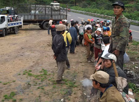 Người dân đổ xô vào rừng tìm huỳnh đàn. Ảnh: Vĩnh Hoàng