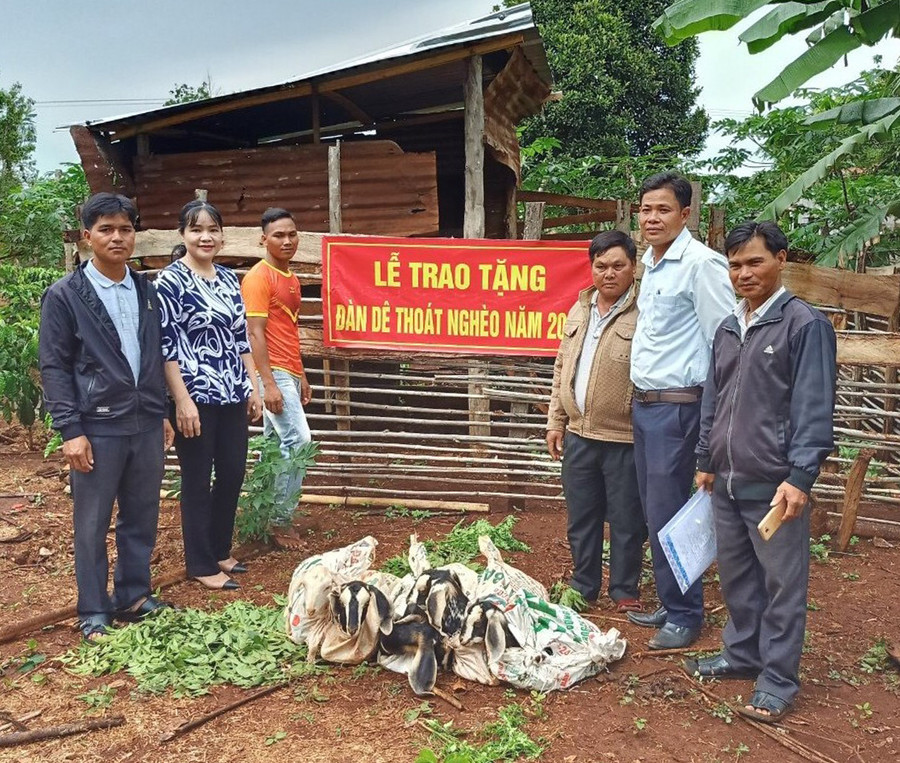 Ủy ban MTTQ Việt Nam huyện Chư Sê hỗ trợ dê giống cho hộ nghèo. Ảnh: Anh Huy