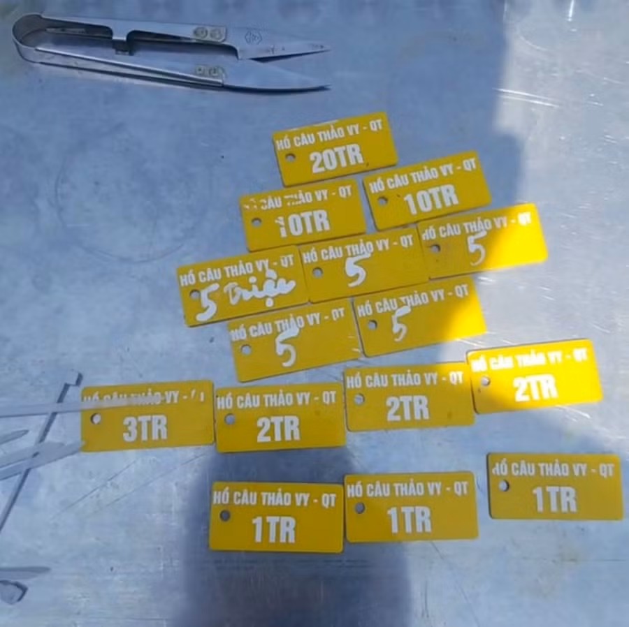 Các khuyên có ghi sẵn mệnh giá dùng để đeo lên lưng cá