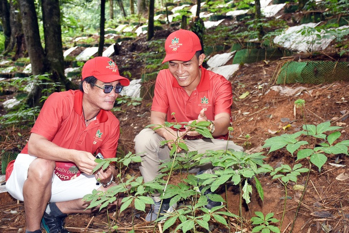 Đoàn khách tham quan vườn sâm Ngọc Linh của Công ty CP Sâm Ngọc Linh Kon Tum